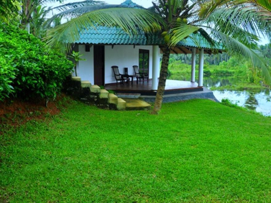 Jungle Heart Cabanas Danwattegoda Esterno foto
