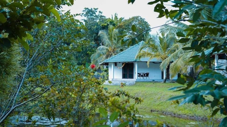 Jungle Heart Cabanas Danwattegoda Esterno foto