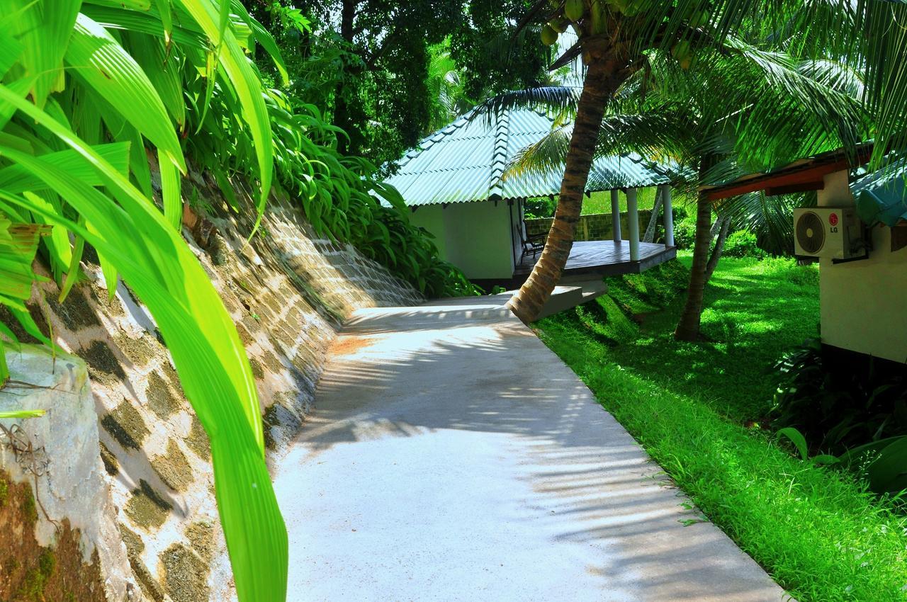 Jungle Heart Cabanas Danwattegoda Esterno foto
