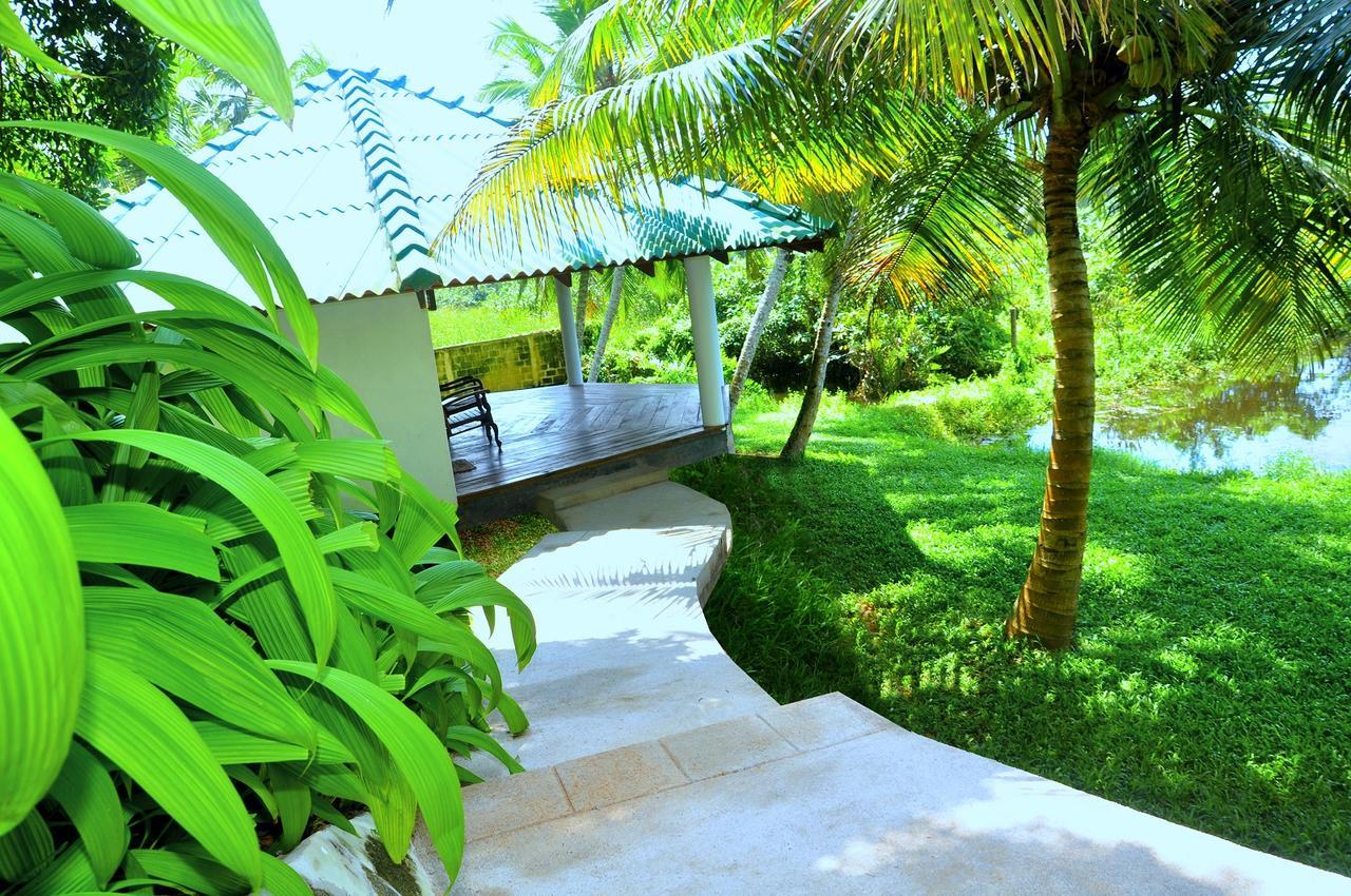 Jungle Heart Cabanas Danwattegoda Esterno foto