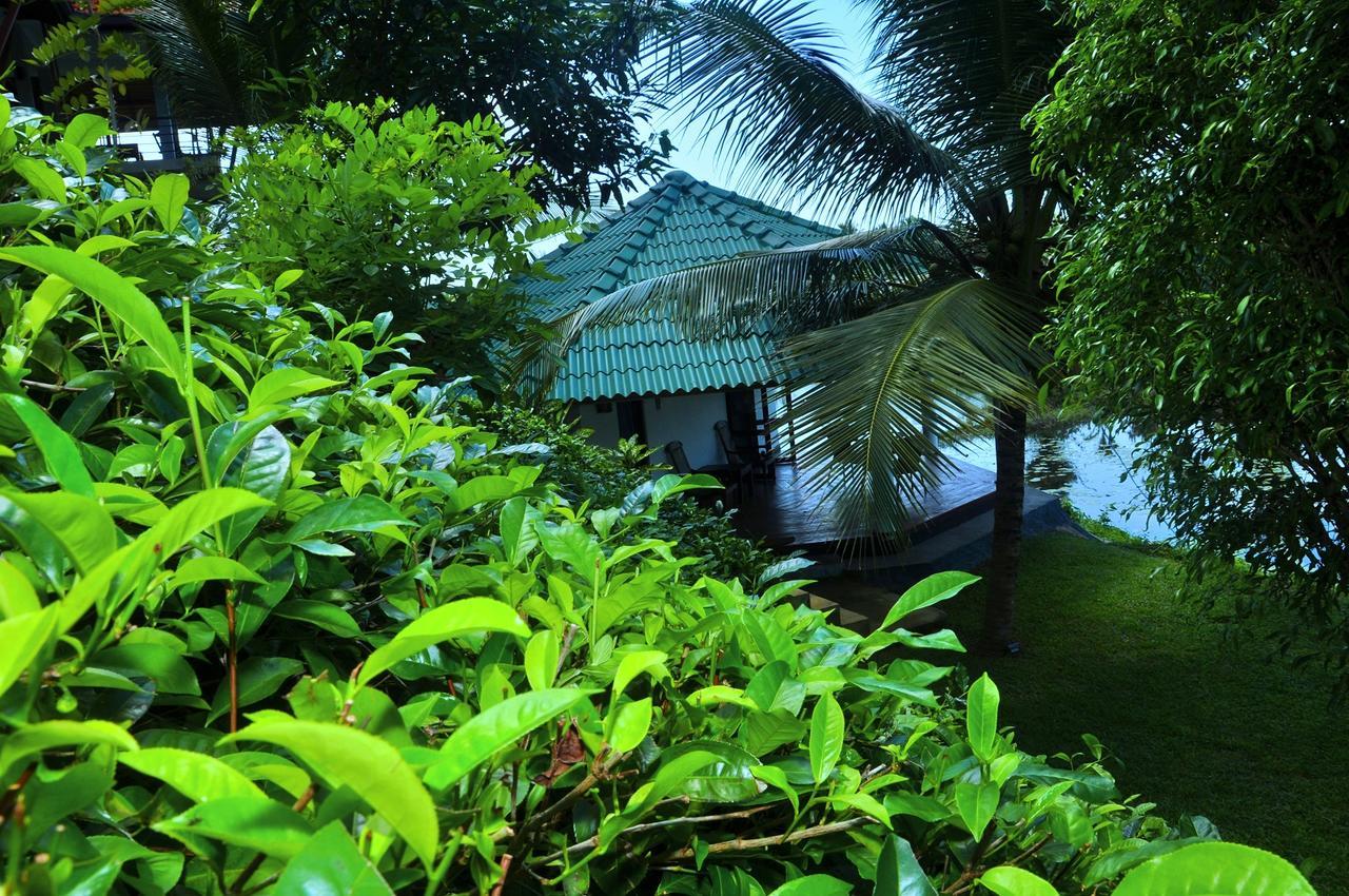 Jungle Heart Cabanas Danwattegoda Esterno foto