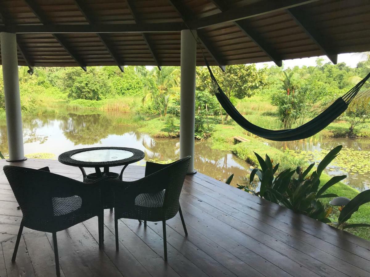 Jungle Heart Cabanas Danwattegoda Esterno foto